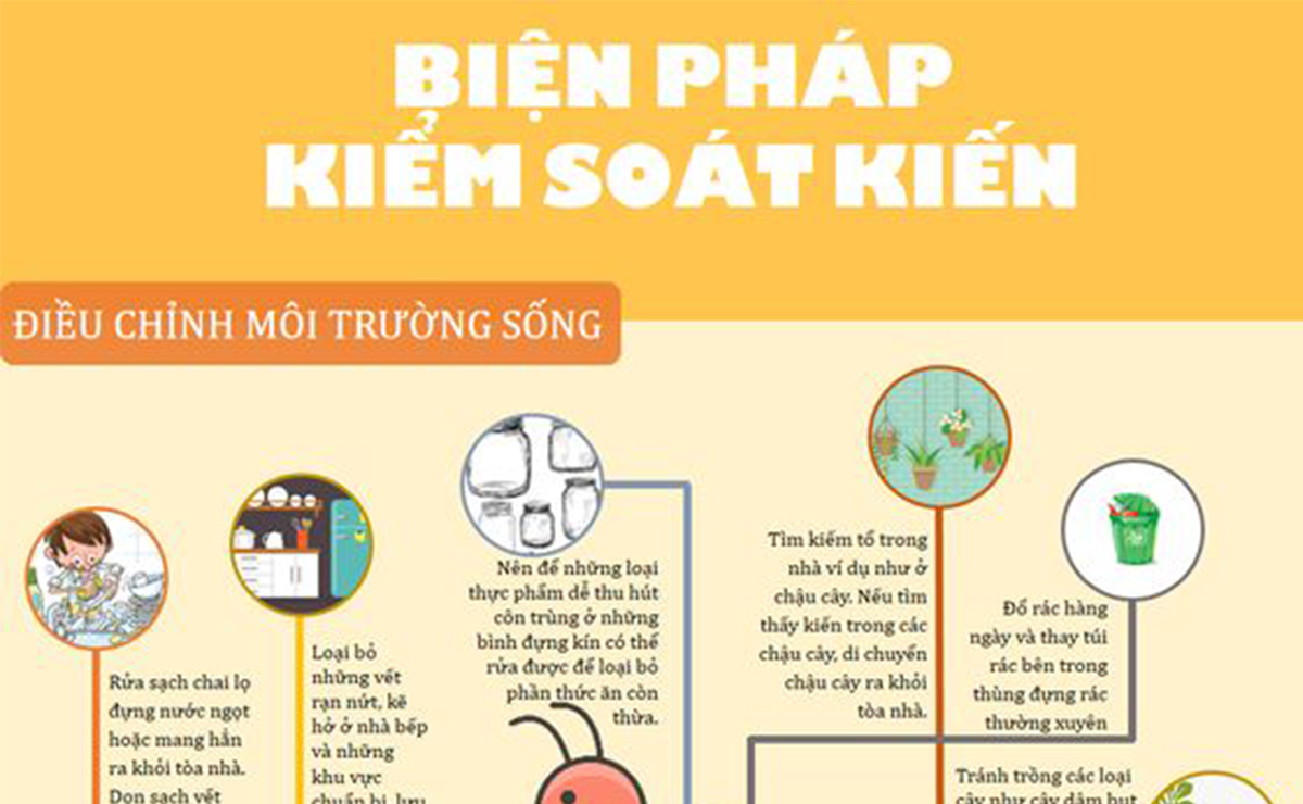 BIỆN PHÁP KIỂM SOÁT KIẾN