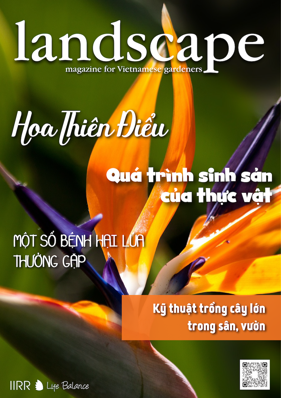 LANDSCAPE MAGAZINE | No.29 – Hoa Thiên Điểu