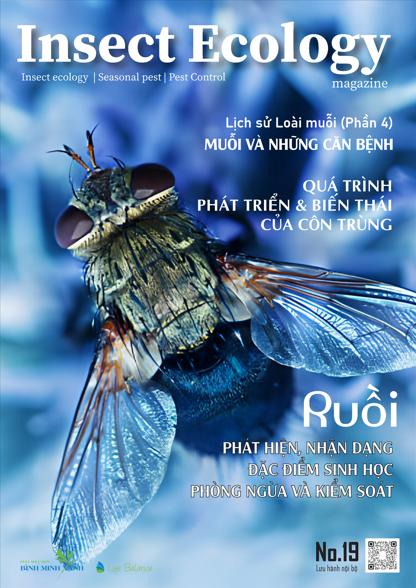 TẠP CHÍ INSECT ECOLOGY | No.19 | Đặc điểm sinh học của loài ruồi