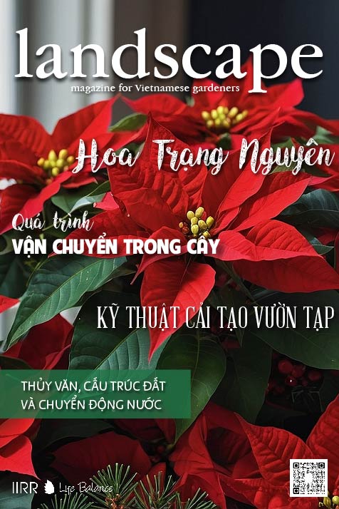 LANDSCAPE MAGAZINE | No.30 – Hoa Trạng Nguyên