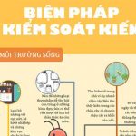 BIỆN PHÁP KIỂM SOÁT KIẾN