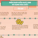 BIỆN PHÁP KIỂM SOÁT ONG SỬ DỤNG HÓA CHẤT