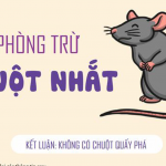 PHÒNG TRỪ CHUỘT NHẮT