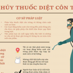 PHÂN HỦY THUỐC DIỆT CÔN TRÙNG