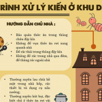 QUY TRÌNH XỬ LÝ KIẾN Ở KHU DÂN CƯ