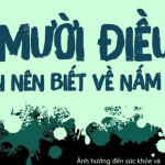 10  ĐIỀU CẦN BIẾT VỀ NẤM MỐC