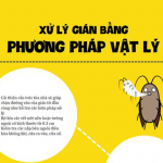 XỬ LÝ GIÁN BẰNG PHƯƠNG PHÁP VẬT LÝ