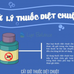 XỬ LÝ THUỐC DIỆT CHUỘT