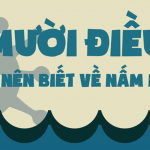 10 điều cần biết về nấm mốc ( tiếp theo )