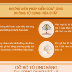 NHỮNG BIỆN PHÁP KIỂM SOÁT ONG KHÔNG SỬ DỤNG HÓA CHẤT