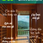 Tạp chí CLEANING & ENVIRONMENT | Life Balance – No.8