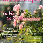 LANDSCAPE MAGAZINE – No1 – Những thành phố xanh – Vườn hồng trong phố
