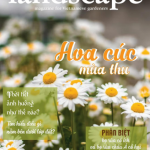 LANDSCAPE MAGAZINE – No2 – Hoa cúc mùa thu