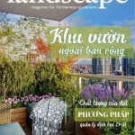 LANDSCAPE MAGAZINE | Vol 3 – Khu vườn ngoài ban công