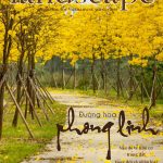 LANDSCAPE MAGAZINE | No6 – Hoa phong linh