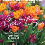 LANDSCAPE MAGAZINE | No10 – Hướng dẫn trồng củ hoa
