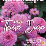 LANDSCAPE MAGAZINE | No11 – Trồng hoa thược dược