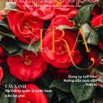 LANDSCAPE MAGAZINE | No13 – Hoa trà