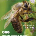 TẠP CHÍ INSECT ECOLOGY | No.4 | Nhận dạng, Vòng đời, Đặc điểm và Phương pháp kiểm soát ong