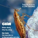 TẠP CHÍ INSECT ECOLOGY | No.5 | Nhận dạng, Chu kỳ sống và Các bước điều tra nguồn sống của Gián