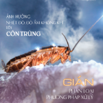TẠP CHÍ INSECT ECOLOGY | No.6 | Phân loại, Phương pháp kiểm soát Gián (Phần 2)