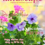 LANDSCAPE MAGAZINE | No16 – Dạ Yến Thảo
