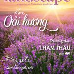 LANDSCAPE MAGAZINE | No17 – Hoa Oải Hương