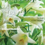 LANDSCAPE MAGAZINE | No18 – Hoa Loa Kèn