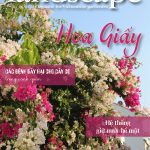 LANDSCAPE MAGAZINE | No20 – Hoa Giấy