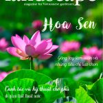 LANDSCAPE MAGAZINE | No21 – Hoa Sen