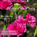LANDSCAPE MAGAZINE | No.22 – Hoa Cẩm Chướng