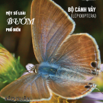 TẠP CHÍ INSECT ECOLOGY | No.15 | Bảo quản Thuốc trừ sâu an toàn
