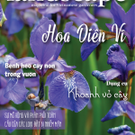 LANDSCAPE MAGAZINE | No.23 – Hoa Diên Vĩ
