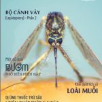 TẠP CHÍ INSECT ECOLOGY | No.16 | Khái quát lịch sử loài muỗi