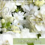 LANDSCAPE MAGAZINE | No.25 – Hoa Nhài