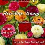 LANDSCAPE MAGAZINE | No.26 – Hoa Mao Lương