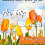 LANDSCAPE MAGAZINE | No.27 – Hoa Tulip