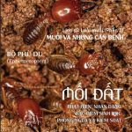 TẠP CHÍ INSECT ECOLOGY | No.18 | Phát hiện, nhận dạng, đặc điểm sinh học và kiểm soát Mối đất