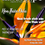 LANDSCAPE MAGAZINE | No.29 – Hoa Thiên Điểu
