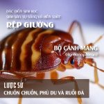 TẠP CHÍ INSECT ECOLOGY | No.20 | Đặc điểm sinh học của Rệp giường